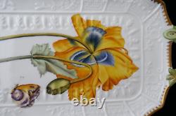 Anna Weatherley Botanical Studies Yellow Flower Embossed Sandwich Tray