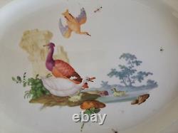Antique 18th Century Meissen Oval Platter With Insects, Ducks & Birds W / Handles