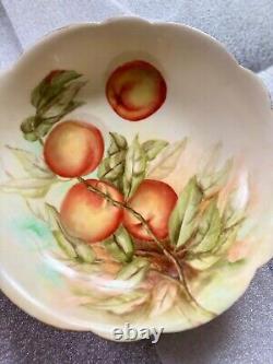 Antique Limoges Hand Painted Bowl or Serving Platter Rare