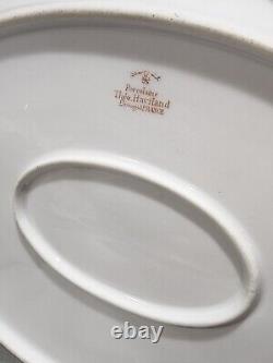 Antique Theodore Haviland Limoges France 14 OVAL SERVING PLATTER Schleiger 133