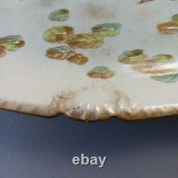 Bonn Fish Platter Porcelain Serving Dish Hand Painted Germany Elegant Vintage