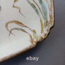 Bonn Fish Platter Porcelain Serving Dish Hand Painted Germany Elegant Vintage