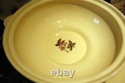 CLARICE CLIFF Georgian Spray 5 x Pieces Serving Platters Tureen etc