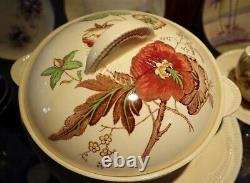 CLARICE CLIFF Georgian Spray 5 x Pieces Serving Platters Tureen etc