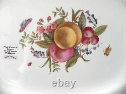 DELECTA by ROYAL WORCESTER 14 1/8 Rectangular Serving Platter Mint