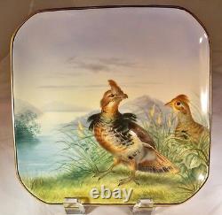 Mintons Circa 1870's Game Birds Set 18 Serving Platter & Six 8 Square Plates