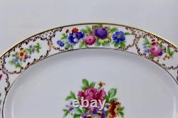Rosenthal China'the Dresden' Aida Oval Serving Platter Mint