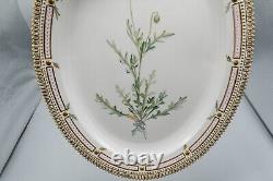 Royal Copenhagen Flora Danica Oval Serving Platter Papaver Dubium 17 3/8 3519