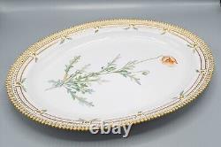 Royal Copenhagen Flora Danica Oval Serving Platter Papaver Dubium 17 3/8 3519