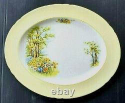 Shelley DAFFODIL TIME Oval Serving Platter Vintage Fine Bone China England RARE