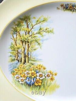 Shelley DAFFODIL TIME Oval Serving Platter Vintage Fine Bone China England RARE