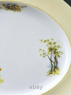 Shelley DAFFODIL TIME Oval Serving Platter Vintage Fine Bone China England RARE