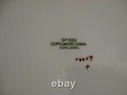 Spode Copelands China England Windermere Oval Serving Platter