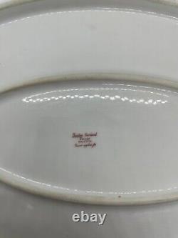 Theodore Haviland Limoges France 16x 11 1/4 Serving Platter Antique Circa 1903