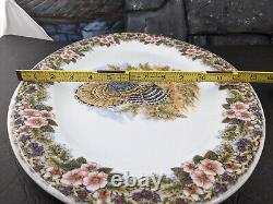 Turkey Platter CHURCHILL Myott Thanksgiving Wildlife 18x13Oval Serving Gift